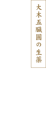 大木五臓圓の生薬 八つの漢方成分