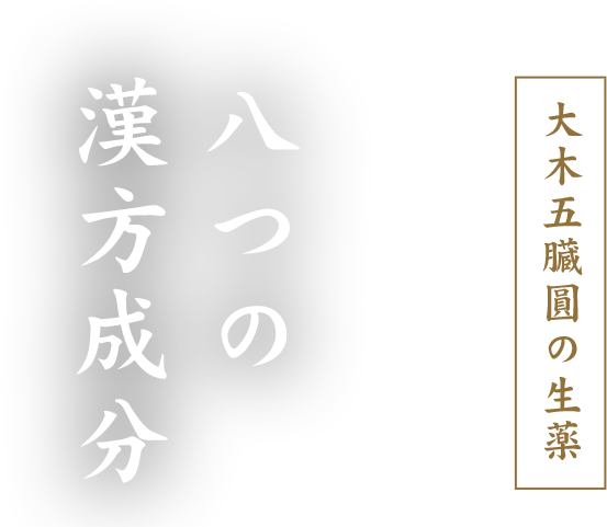 大木五臓圓の生薬 八つの漢方成分